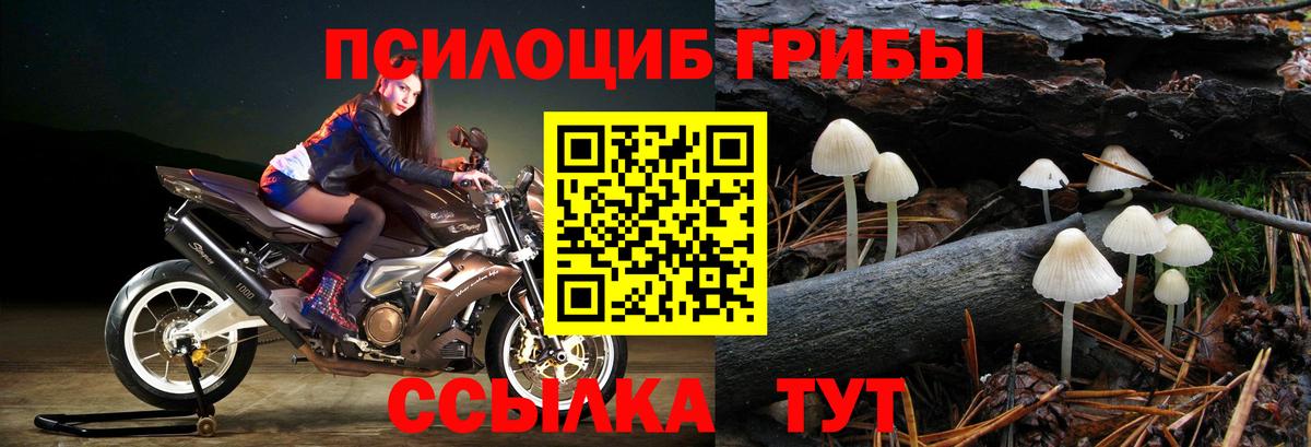 Галлюциногенные грибы Cubensis  Вход с VPN  Назрань 